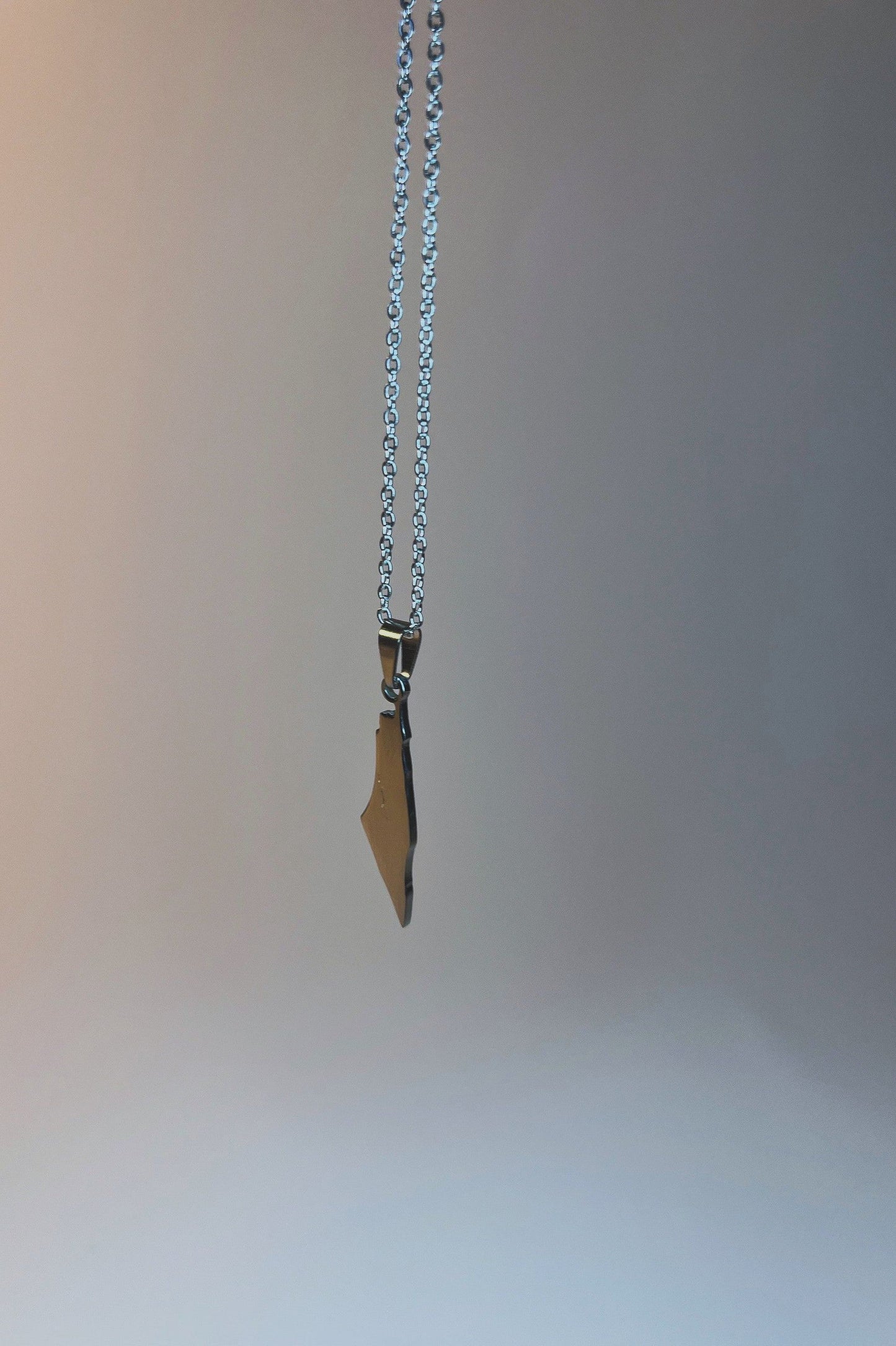 Silver Dainty Palestine Necklace