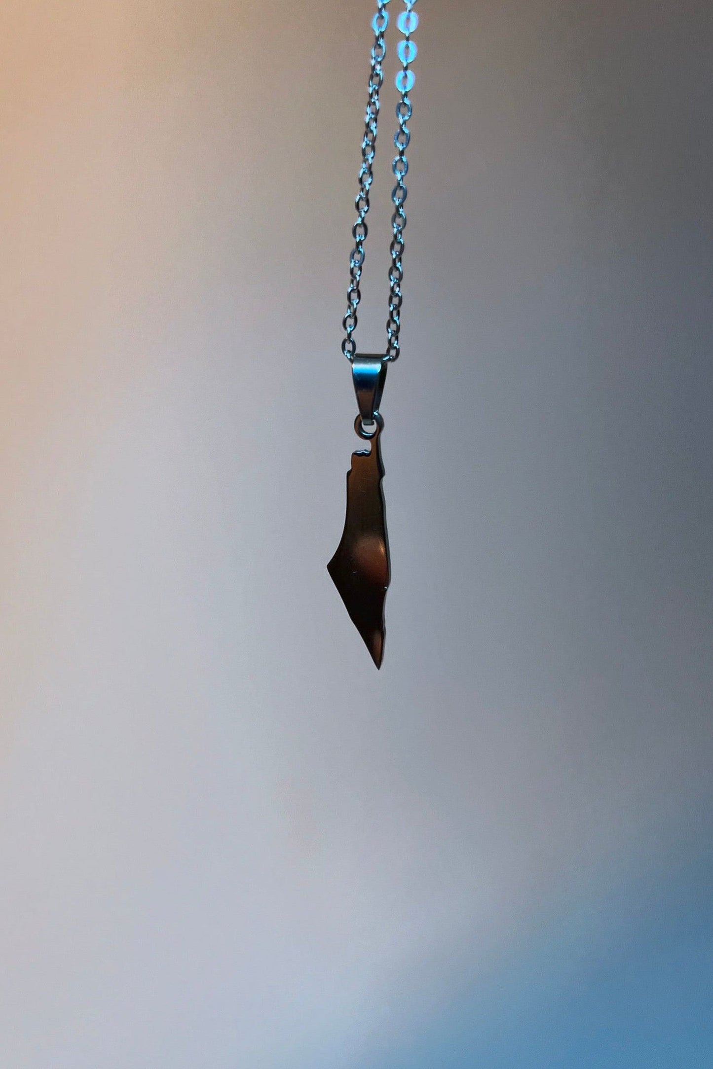 Silver Dainty Palestine Necklace